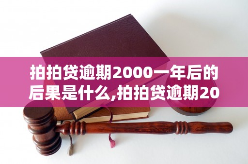 拍拍贷逾期2000一年后的后果是什么,拍拍贷逾期2000一年会有什么影响