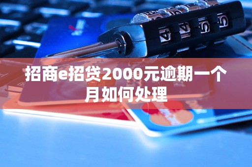 招商e招贷2000元逾期一个月如何处理