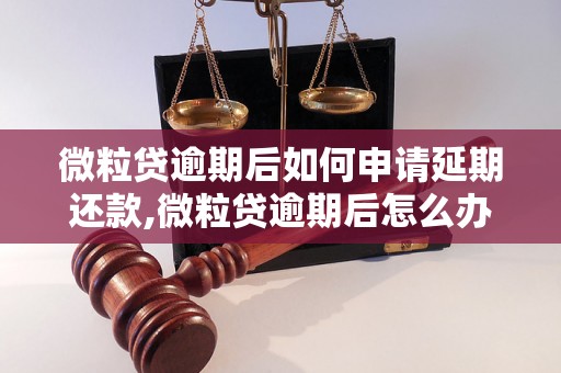 微粒贷逾期后如何申请延期还款,微粒贷逾期后怎么办理延期手续