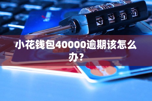 小花钱包40000逾期该怎么办？