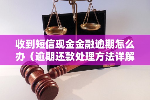 收到短信现金金融逾期怎么办（逾期还款处理方法详解）