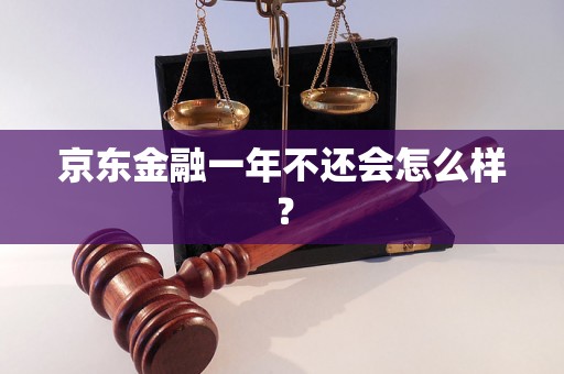 京东金融一年不还会怎么样？