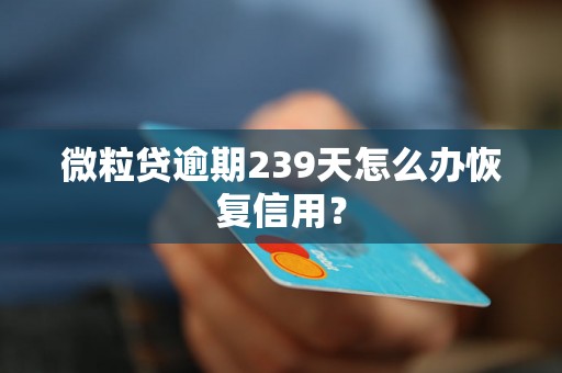 微粒贷逾期239天怎么办恢复信用？