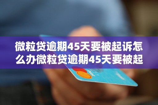 微粒贷逾期45天要被起诉怎么办微粒贷逾期45天要被起诉怎么办