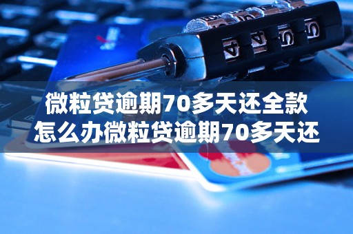 微粒贷逾期70多天还全款怎么办微粒贷逾期70多天还全款怎么办