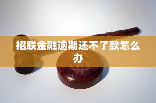 招联金融逾期还不了款怎么办