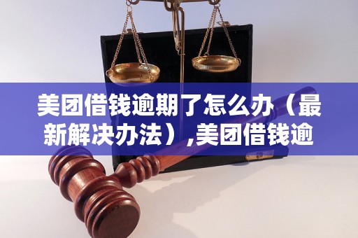 美团借钱逾期了怎么办（最新解决办法）,美团借钱逾期后的应对措施