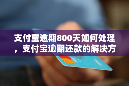 支付宝逾期800天如何处理，支付宝逾期还款的解决方法