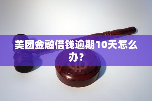 美团金融借钱逾期10天怎么办？