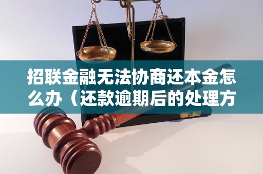 招联金融无法协商还本金怎么办（还款逾期后的处理方法）