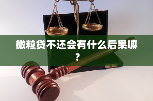 微粒贷不还会有什么后果嘛？