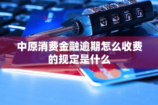 中原消费金融逾期怎么收费的规定是什么