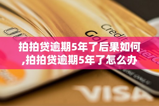 拍拍贷逾期5年了后果如何,拍拍贷逾期5年了怎么办