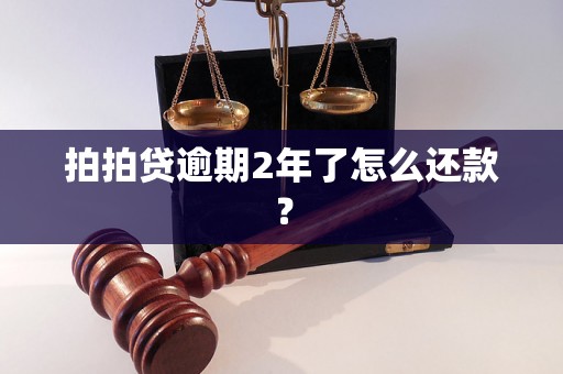 拍拍贷逾期2年了怎么还款？