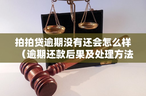 拍拍贷逾期没有还会怎么样（逾期还款后果及处理方法）