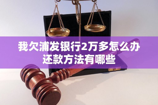 我欠浦发银行2万多怎么办还款方法有哪些