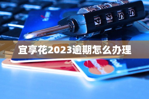 宜享花2023逾期怎么办理