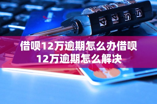 借呗12万逾期怎么办借呗12万逾期怎么解决