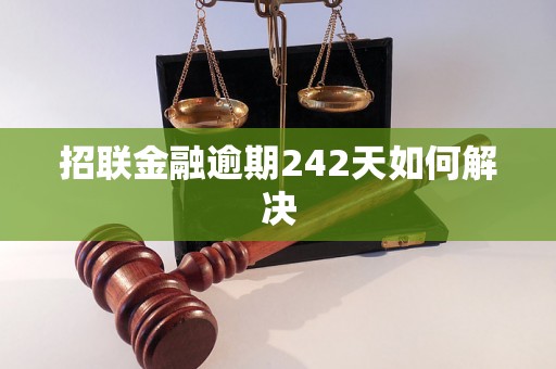 招联金融逾期242天如何解决