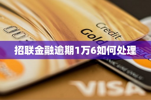 招联金融逾期1万6如何处理