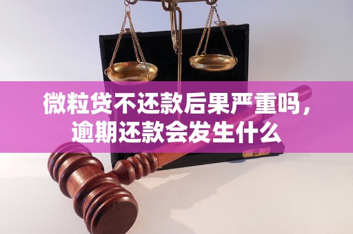 微粒贷不还款后果严重吗，逾期还款会发生什么