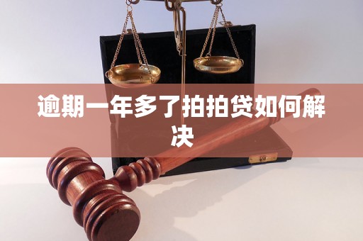 逾期一年多了拍拍贷如何解决