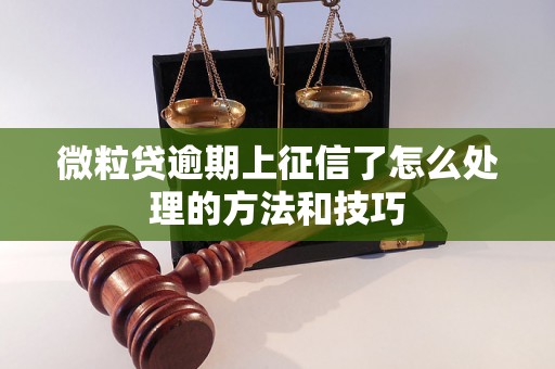 微粒贷逾期上征信了怎么处理的方法和技巧