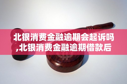 北银消费金融逾期会起诉吗,北银消费金融逾期借款后果及处理方法