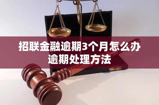 招联金融逾期3个月怎么办逾期处理方法