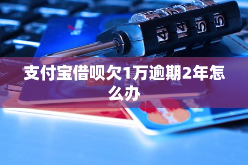 支付宝借呗欠1万逾期2年怎么办