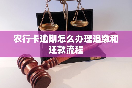 农行卡逾期怎么办理追缴和还款流程