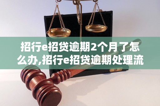 招行e招贷逾期2个月了怎么办,招行e招贷逾期处理流程