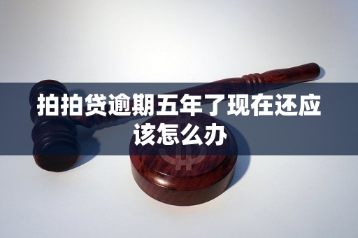 拍拍贷逾期五年了现在还应该怎么办