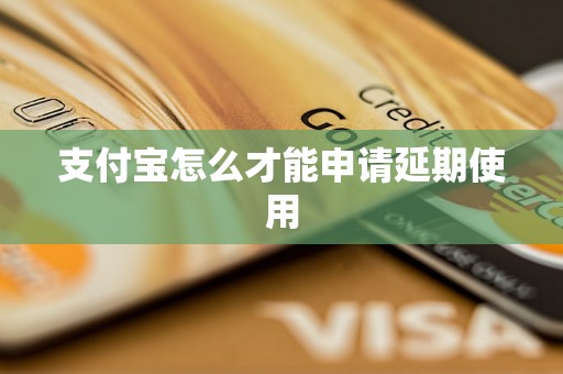 支付宝怎么才能申请延期使用