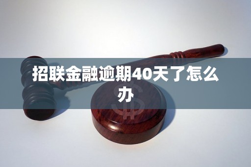 招联金融逾期40天了怎么办