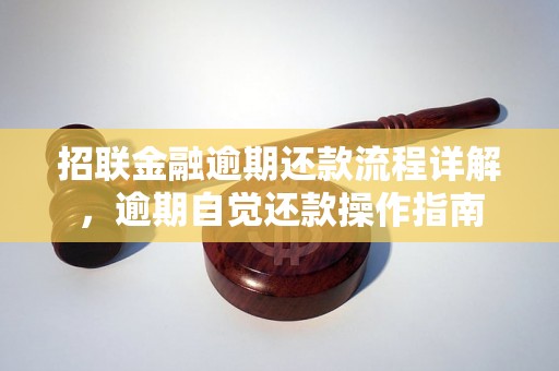 招联金融逾期还款流程详解，逾期自觉还款操作指南