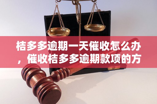 桔多多逾期一天催收怎么办，催收桔多多逾期款项的方法和技巧