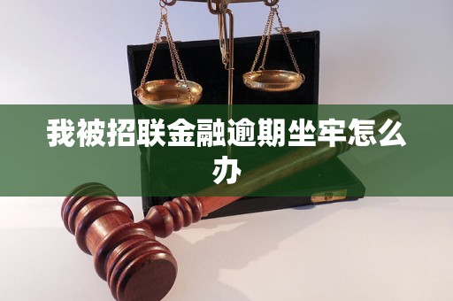 我被招联金融逾期坐牢怎么办