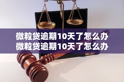 微粒贷逾期10天了怎么办微粒贷逾期10天了怎么办？