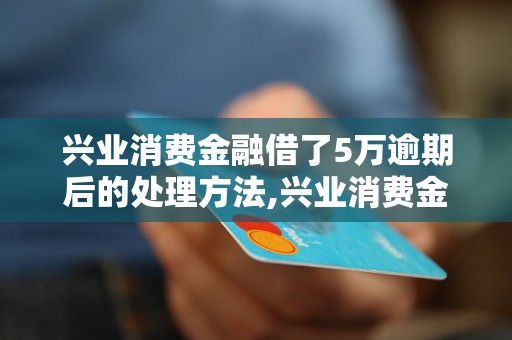 兴业消费金融借了5万逾期后的处理方法,兴业消费金融逾期还款怎么办