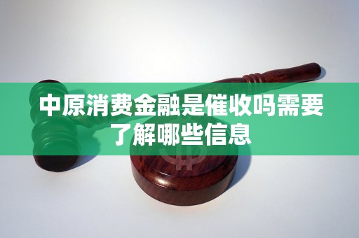 中原消费金融是催收吗需要了解哪些信息