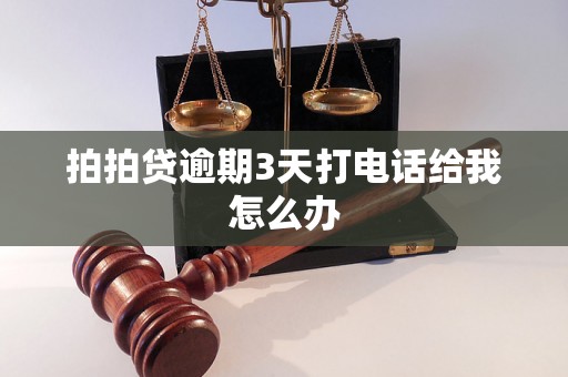 拍拍贷逾期3天打电话给我怎么办