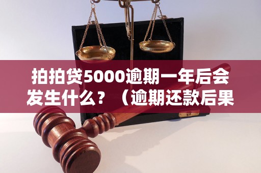 拍拍贷5000逾期一年后会发生什么？（逾期还款后果详解）