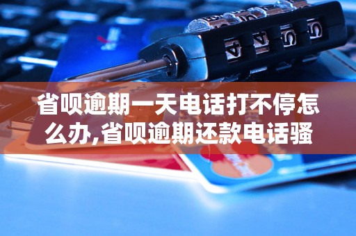 省呗逾期一天电话打不停怎么办,省呗逾期还款电话骚扰怎么处理