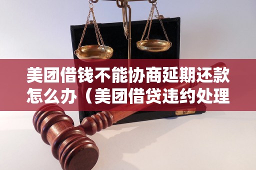 美团借钱不能协商延期还款怎么办（美团借贷违约处理方法）