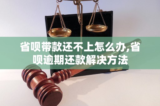 省呗带款还不上怎么办,省呗逾期还款解决方法