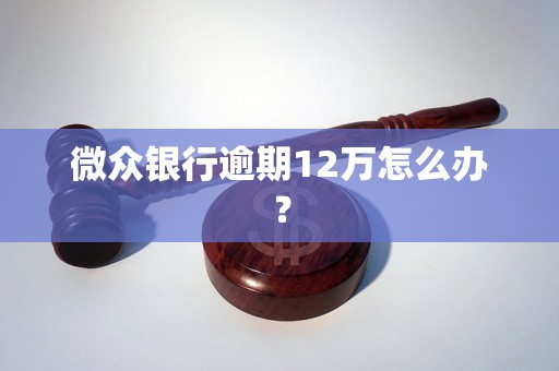 微众银行逾期12万怎么办？