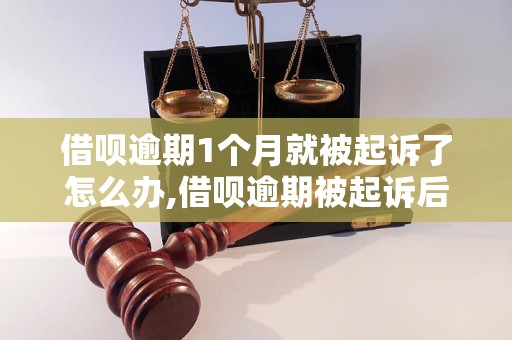 借呗逾期1个月就被起诉了怎么办,借呗逾期被起诉后的后果