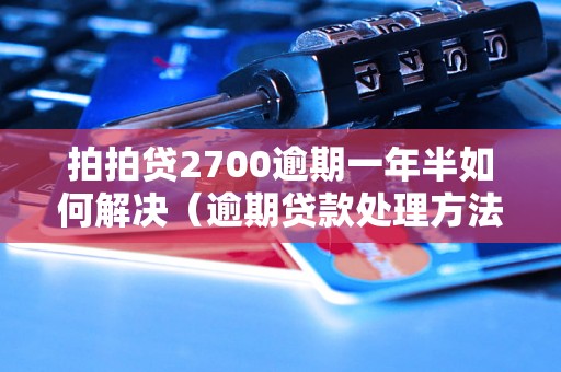 拍拍贷2700逾期一年半如何解决（逾期贷款处理方法）