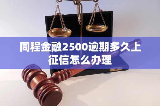 同程金融2500逾期多久上征信怎么办理